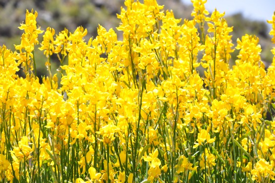 Mendoza Image 121228140122-4