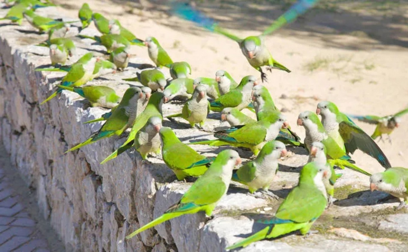 Mendoza Architecture 11309401200x771