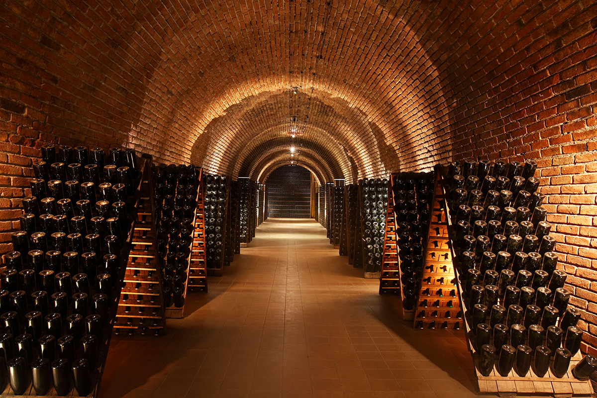 Mendoza Image MG_0859