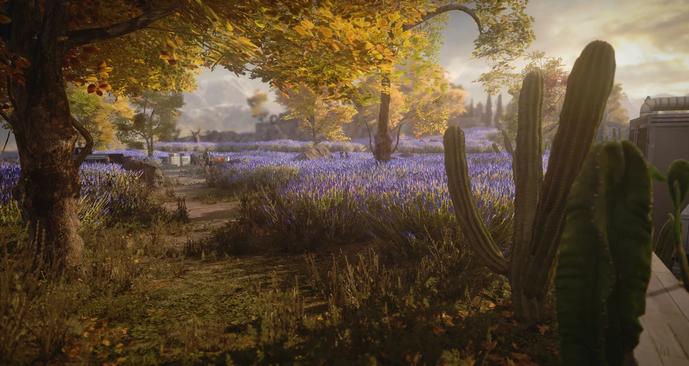 Mendoza Official Art 4