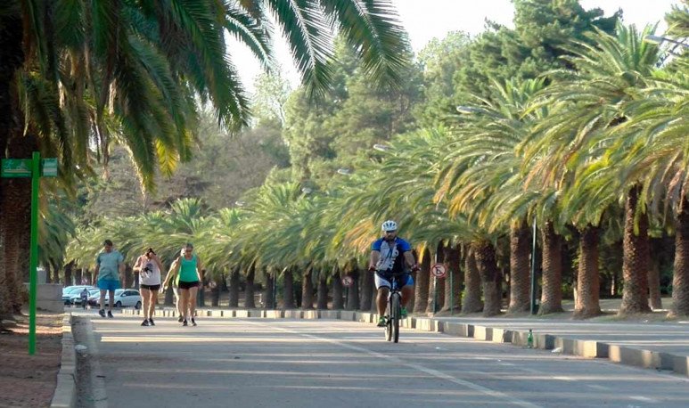 Una vuelta al lago del Parque